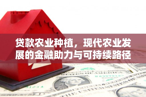 嘉兴贷款农业种植，现代农业发展的金融助力与可持续路径