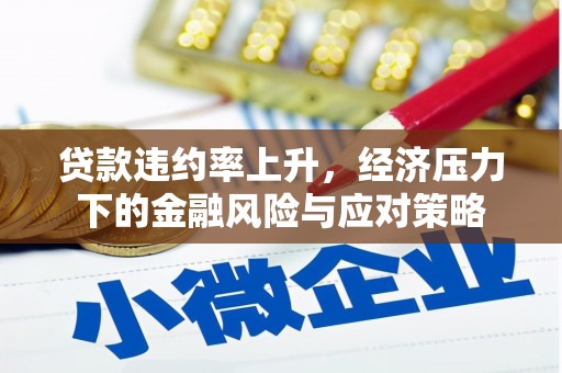 嘉兴贷款违约率上升，经济压力下的金融风险与应对策略