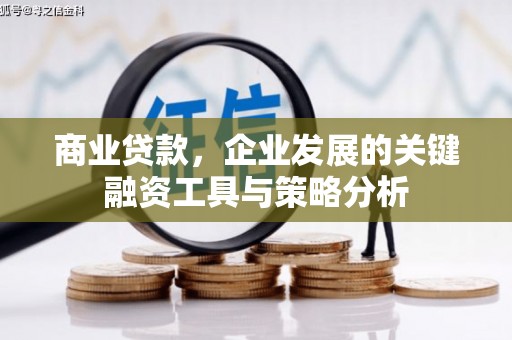 嘉兴商业贷款，企业发展的关键融资工具与策略分析