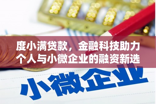 嘉兴度小满贷款，金融科技助力个人与小微企业的融资新选择