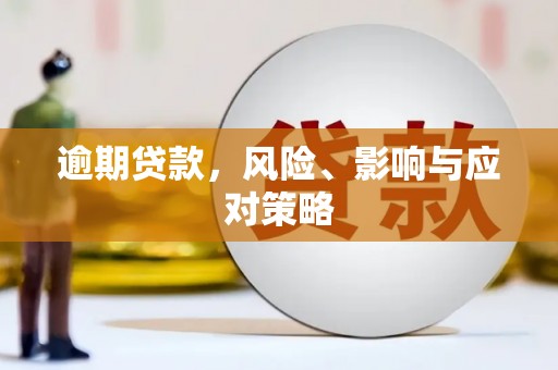 嘉兴逾期贷款，风险、影响与应对策略