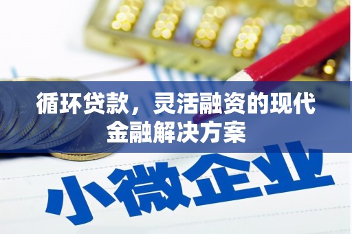 嘉兴循环贷款，灵活融资的现代金融解决方案