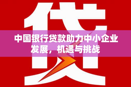 嘉兴中国银行贷款助力中小企业发展，机遇与挑战