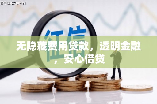 嘉兴无隐藏费用贷款，透明金融，安心借贷