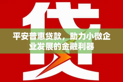 嘉兴平安普惠贷款，助力小微企业发展的金融利器