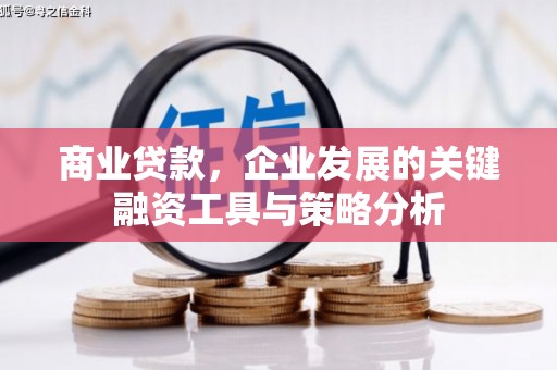 嘉兴商业贷款，企业发展的关键融资工具与策略分析