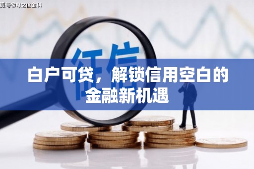 嘉兴白户可贷，解锁信用空白的金融新机遇