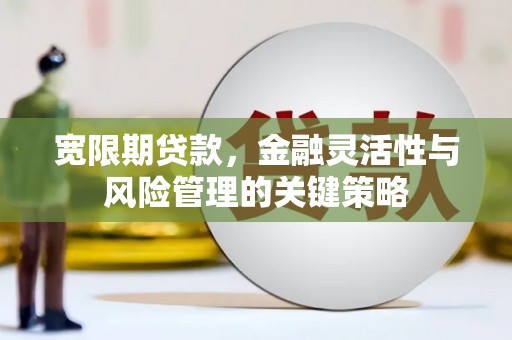嘉兴宽限期贷款，金融灵活性与风险管理的关键策略