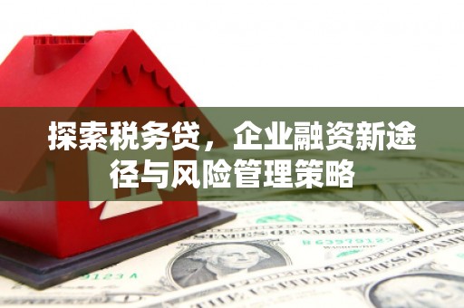 嘉兴探索税务贷，企业融资新途径与风险管理策略