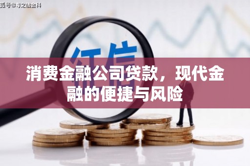 嘉兴消费金融公司贷款，现代金融的便捷与风险