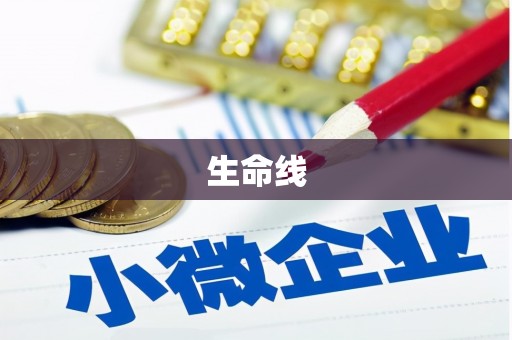 嘉兴生命线