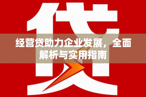 嘉兴经营贷助力企业发展，全面解析与实用指南