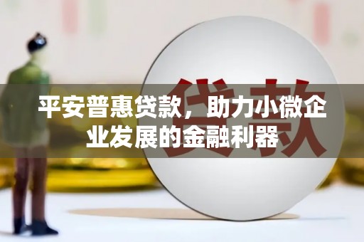 嘉兴平安普惠贷款，助力小微企业发展的金融利器