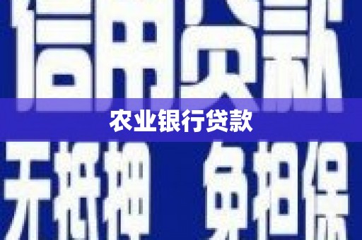 嘉兴农业银行贷款
