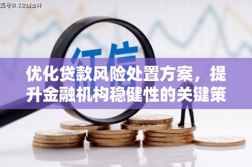 嘉兴优化贷款风险处置方案，提升金融机构稳健性的关键策略