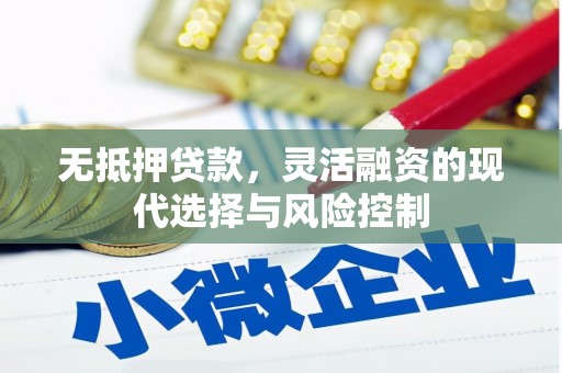 嘉兴无抵押贷款，灵活融资的现代选择与风险控制