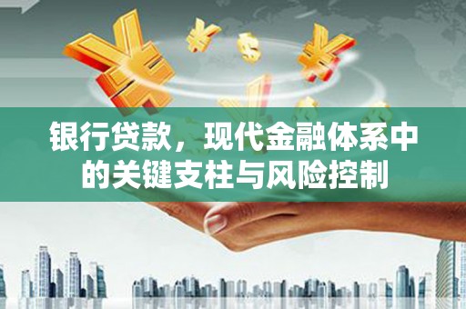 嘉兴银行贷款，现代金融体系中的关键支柱与风险控制