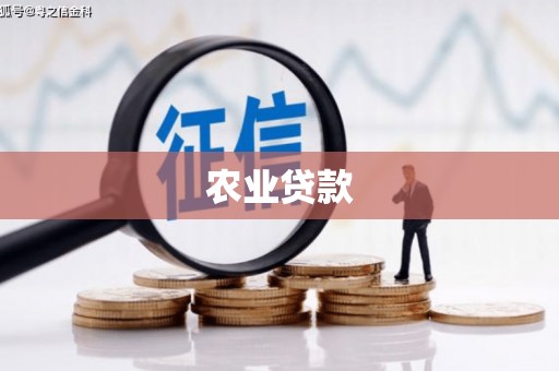 嘉兴农业贷款