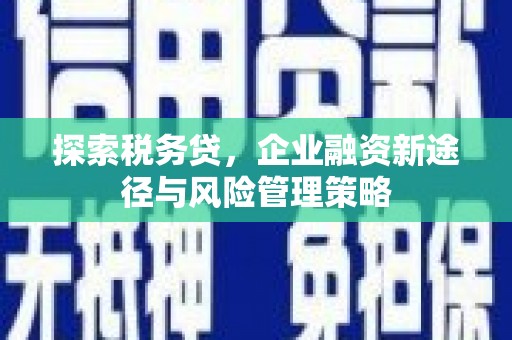 嘉兴探索税务贷，企业融资新途径与风险管理策略