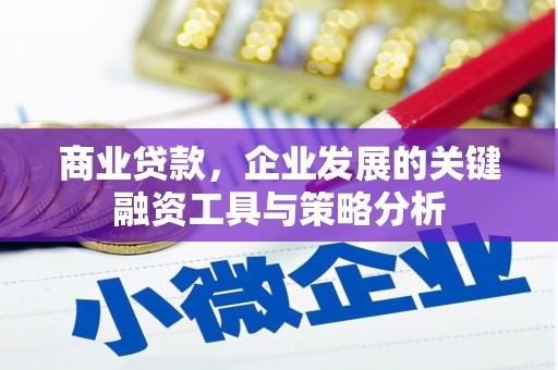 嘉兴商业贷款，企业发展的关键融资工具与策略分析