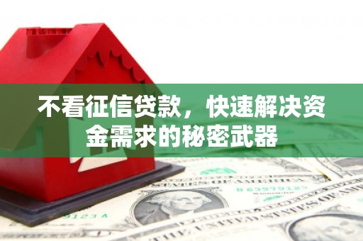 嘉兴不看征信贷款，快速解决资金需求的秘密武器