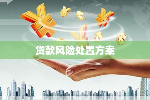 嘉兴贷款风险处置方案