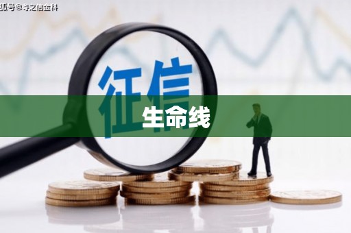 嘉兴生命线