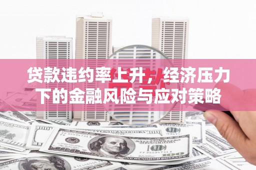 嘉兴贷款违约率上升，经济压力下的金融风险与应对策略