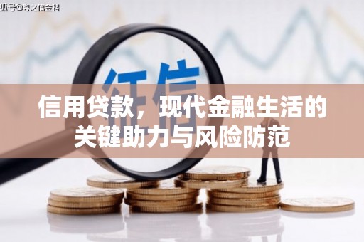 嘉兴信用贷款，现代金融生活的关键助力与风险防范