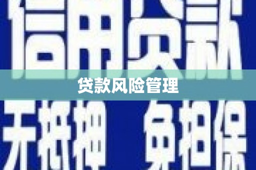 嘉兴贷款风险管理