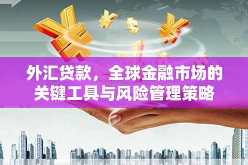 嘉兴外汇贷款，全球金融市场的关键工具与风险管理策略