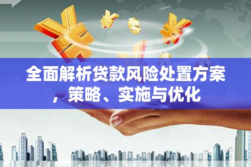嘉兴全面解析贷款风险处置方案，策略、实施与优化