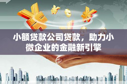嘉兴小额贷款公司贷款，助力小微企业的金融新引擎