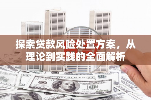 嘉兴探索贷款风险处置方案，从理论到实践的全面解析