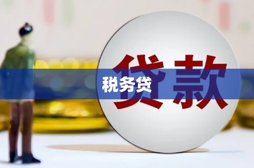 嘉兴税务贷