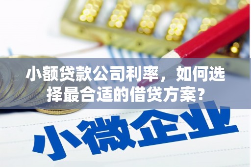嘉兴小额贷款公司利率，如何选择最合适的借贷方案？