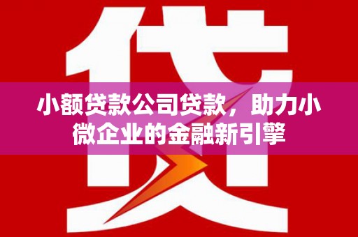 嘉兴小额贷款公司贷款，助力小微企业的金融新引擎