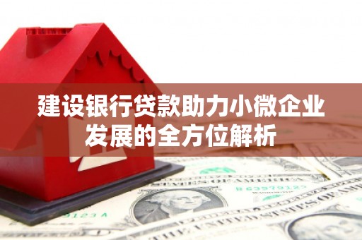 嘉兴建设银行贷款助力小微企业发展的全方位解析