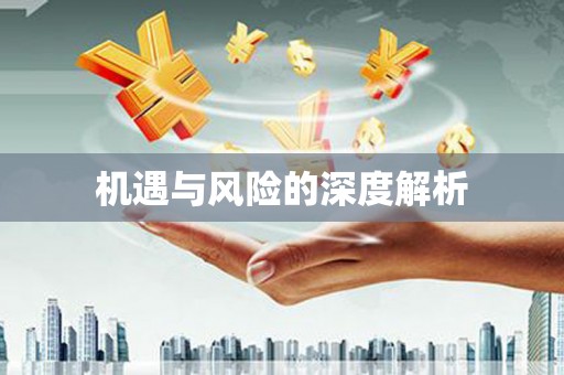 嘉兴机遇与风险的深度解析