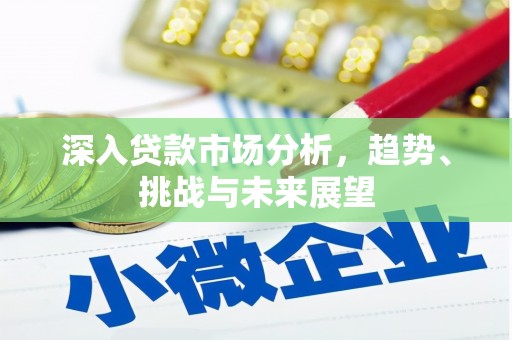 嘉兴深入贷款市场分析，趋势、挑战与未来展望