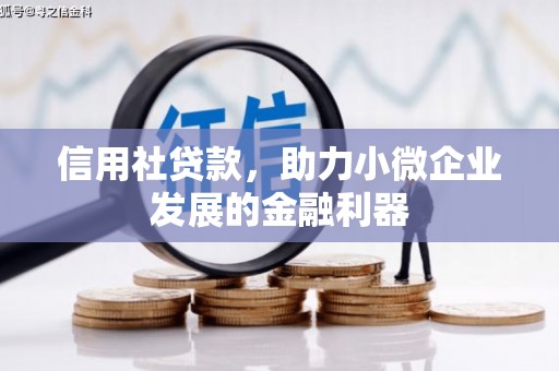 嘉兴信用社贷款，助力小微企业发展的金融利器