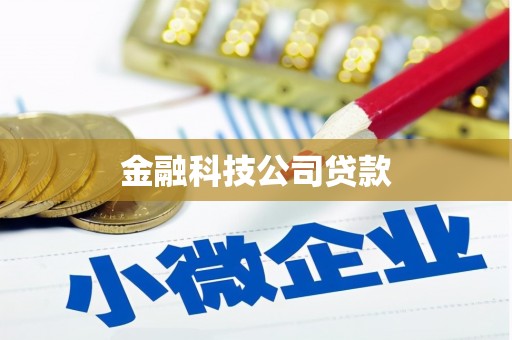 嘉兴金融科技公司贷款