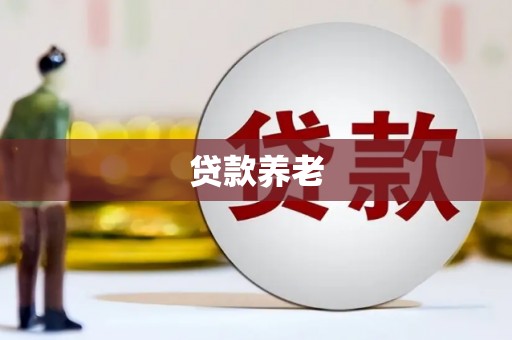 嘉兴贷款养老