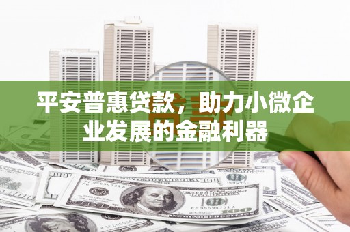 嘉兴平安普惠贷款，助力小微企业发展的金融利器