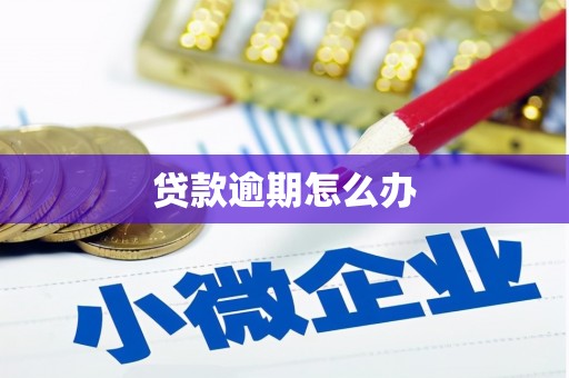 嘉兴贷款逾期怎么办