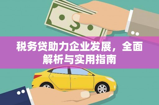 嘉兴税务贷助力企业发展，全面解析与实用指南