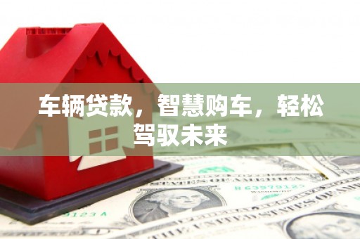 嘉兴车辆贷款，智慧购车，轻松驾驭未来