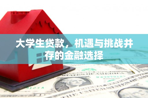 嘉兴大学生贷款，机遇与挑战并存的金融选择