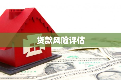 嘉兴贷款风险评估