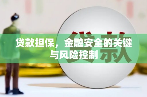 嘉兴贷款担保，金融安全的关键与风险控制
